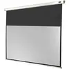 Celexon Rollo Economy, Leinwand, 16:9 (125.20", 16:9), Leinwand, Weiss
