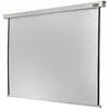 Celexon Motor Professional, Leinwand, 16:9 (241", 16:9), Leinwand, Wei...