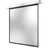 Celexon Deckeneinbau Motor Professional + (111.02", 1:1), Leinwand, We...