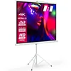 eSmart Economy EXS Stativ Leinwand 198 cm 78 Zoll