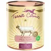 Terra Canis Klassisches Lammmenü Mit Zucchini-hirse Und Dill Nassfutte...