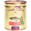 Terra Canis Klassisches Menü Lachs Mit Hirse Pfirsich Und Aromatischen...