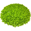 LEGO® 1x1 Blume mit drei Blättern Limette - 32607 NEU! Menge 100x