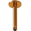 Steinberg, Duschbrause, Serie 100 Brausearm, Deckenmontage, 120mm, run...