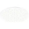 Steinberg, Duschbrause, Serie 100 Kopfbrause, Regenbrause, rund, 250x8...