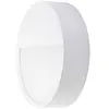 BRUMBERG LED-Außenwandlampe EYE, halboffen, weiß, CCT, IP65