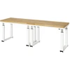 STIER Elektrisch Höhenverstellbare Werkbank Premium BxTxH 2500x700x740...