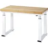 STIER Elektrisch Höhenverstellbare Werkbank Premium BxTxH 1250x700x740...