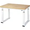 STIER Elektrisch Höhenverstellbare Werkbank Premium BxTxH 1250x900x740...