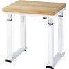 STIER Elektrisch höhenverstellbare Werkbank Premium BxTxH 750x700x740-...