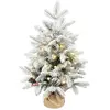 HOMCOM Mini 60cm Weihnachtsbaum mit 35 LED-Lichtern, Schnee-Effekt, Mi...