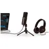 Zoom ZUM-2PMP, Mikrofon