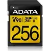 Premier One 256 GB SDXC, Speicherkarte
