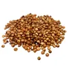 Lyra Pet® Milo 25 kg