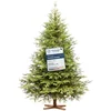 Fairytrees Künstlicher Weihnachtsbaum FT06, Nordmanntanne Exklusiv 100...