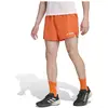 Shorts adidas Terrex Orange L 5"