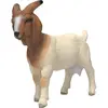 schleich FARM WORLD 14929, 3 Jahr(e), Mehrfarbig, Kunststoff