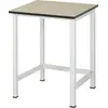 Rau Werktisch MDF-Platte BxTxH 750x800x825 mm