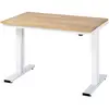 RAU, Werkbank + Arbeitsbock, Arbeitsplatz, höhenverstellbar (125 cm, 8...