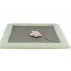 Trixie Junior Kratzmatte grau/mint