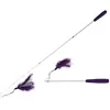 Teleskopische Angelrute für Katzen Ebi Lila 35/95 cm