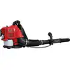 Scheppach LB5200BP, Rucksack-Gebläse, 295 km/h, Schwarz, Rot, 1400 W, ...