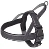 Nobby Norweger Geschirr Linen DeLuxe (L, Hund, Spazieren), Halsband + ...