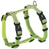Nobby Full Reflect (L, XL, Hund, Spazieren), Halsband + Leine