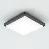 EVN LED-Außendeckenleuchte Tectum, 23x23 cm, anthrazit, 150°