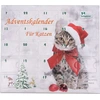 Katzenspielzeug Adventskalender für Katzen Weihnachten