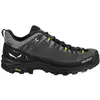 SALEWA Herren Wanderschuhe Alp Trainer 2 GTX grau | 46 1/2