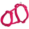 Trixie New Premium 20 Mm Hundegeschirr