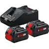 Bosch Starter-Set 2x PC18V+ 8.0Ah, GAL 18, 1600A02X03