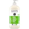 2x Sante, Bodylotion, Bio Ananas & Limette (Körpercreme, 500 ml)