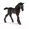 schleich HORSE CLUB Lipizzaner Fohlen, 5 Jahr(e), Braun