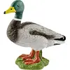 schleich FARM WORLD Erpel, 3 Jahr(e), Farm, Farm animals / farm toys, ...