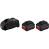Bosch 1 600 A02 14C, Akku, Bosch, Schwarz, Rot, 2 Stück(e), 700 g