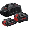 Starter-Set 1 x ProCORE18V 4.0Ah + 1 x ProCORE18V 5.5Ah + GAL 1880 CV