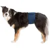 Trixie Bauchband Für Rüden 37-45 Cm