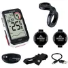 Sigma Sport 01065, 6,1 cm (2.4"), 59 x 23 Pixel, 550 mAh (Li Ion), 3.7...