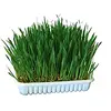 Kerbl Gras Für Nagetiere 100gr