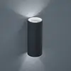 Helestra Swift - LED-Außenwandleuchte graphit IP65