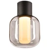 SLV 1004677 OVALISK CL, Outdoor LED Deckenaufbauleuchte anthrazit CCT ...