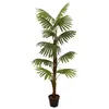 Europalms, Kunstpflanzen, Fächerpalme, Kunstpflanze, 155cm (155 cm)