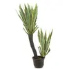 Europalms, Kunstpflanzen, Orchideen-Kaktus, Kunstpflanze, 160cm (160 c...