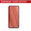 DISPLEX Panzerglas (10H) + Schutzhülle für Samsung Galaxy A55 5G