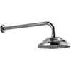 Dornbracht, Duschbrause, Regenbrause mit Wandanbindung, 450 mm, 285459...