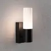 Paulmann Außenwandleuchte Tralia, anthrazit, Höhe 25 cm IP44