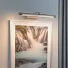Paulmann Mingo LED-Bilderleuchte 41,5 cm alu geb.
