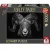 Ashley Rader: Dominance - Widder, Im Zeichen des Feuers, Puzzle